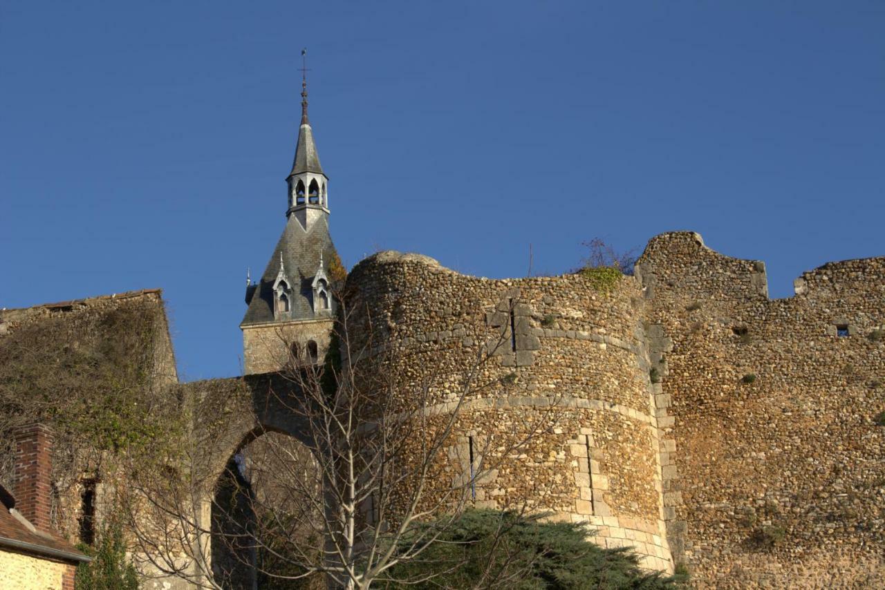 Gite "La Mesangerie" Villa Château-Renard Exteriör bild