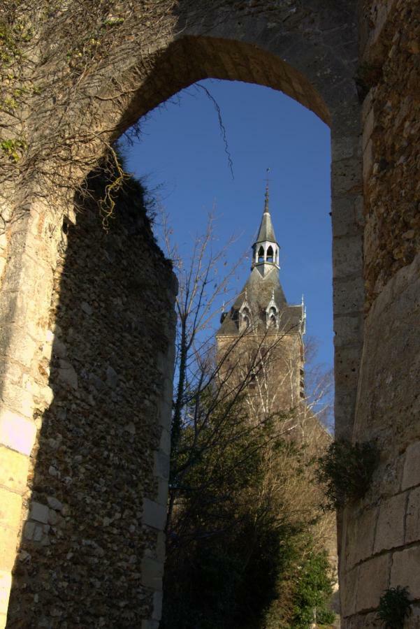 Gite "La Mesangerie" Villa Château-Renard Exteriör bild